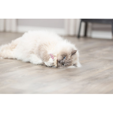Trixie – jucărie pentru pisici, ursuleț cu catnip, 12 cm, diverse culori
